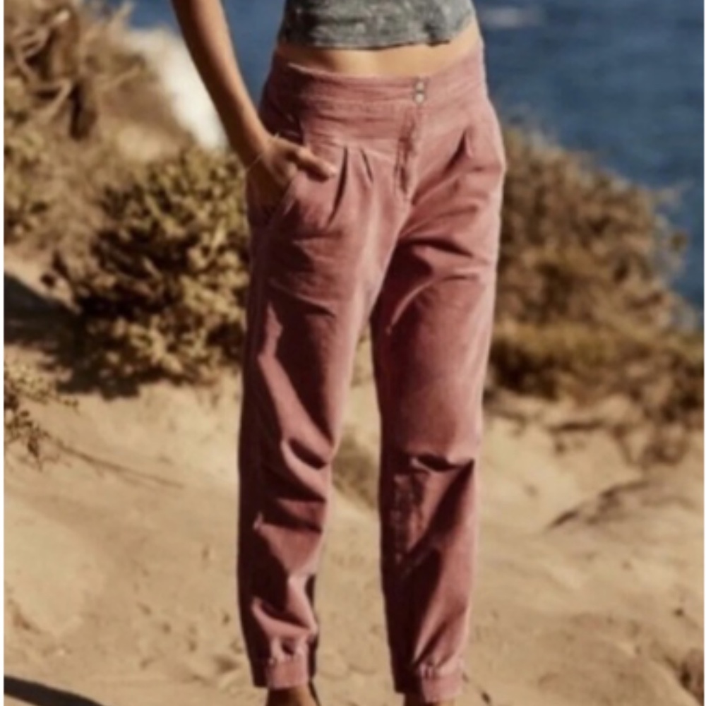 Anthropologie Kalea Pink  Corduroy Velvet Jogger High Rise Pleated Pants S